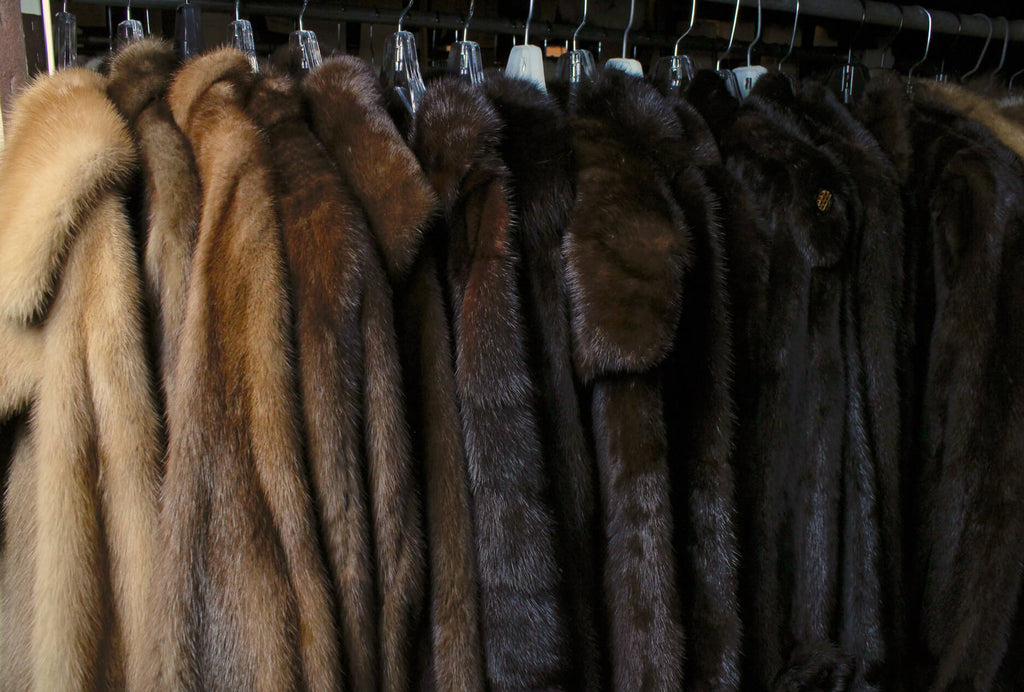 Everyday care for your favorite fur coats